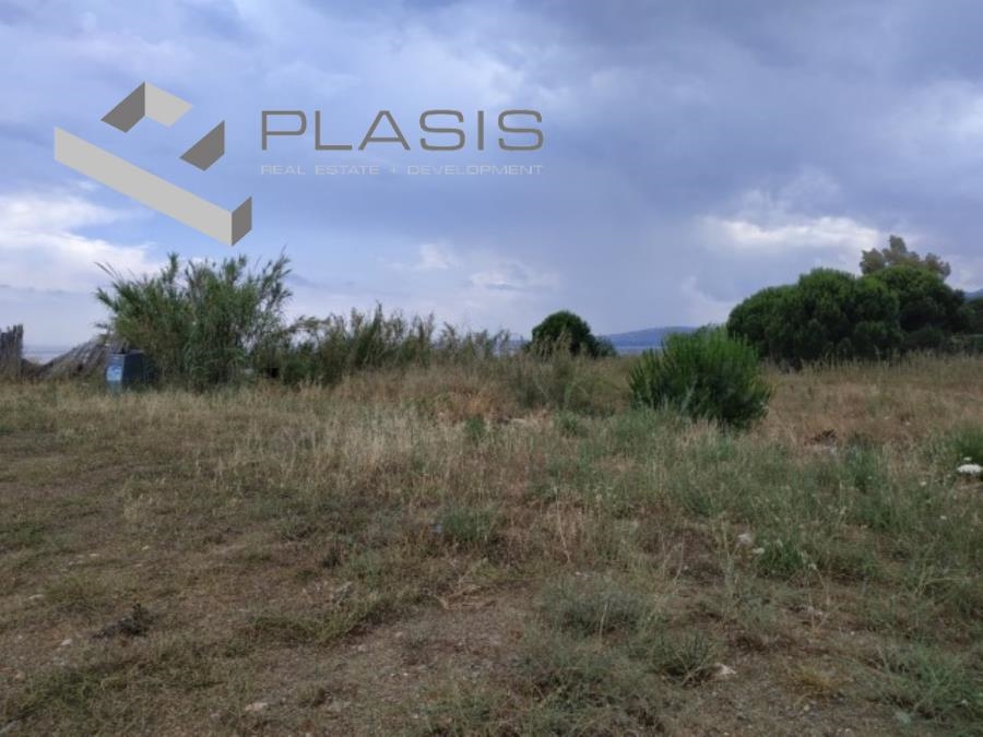 (For Sale) Land Large Land  || East Attica/Marathonas - 75.000 Sq.m, 6.500.000€