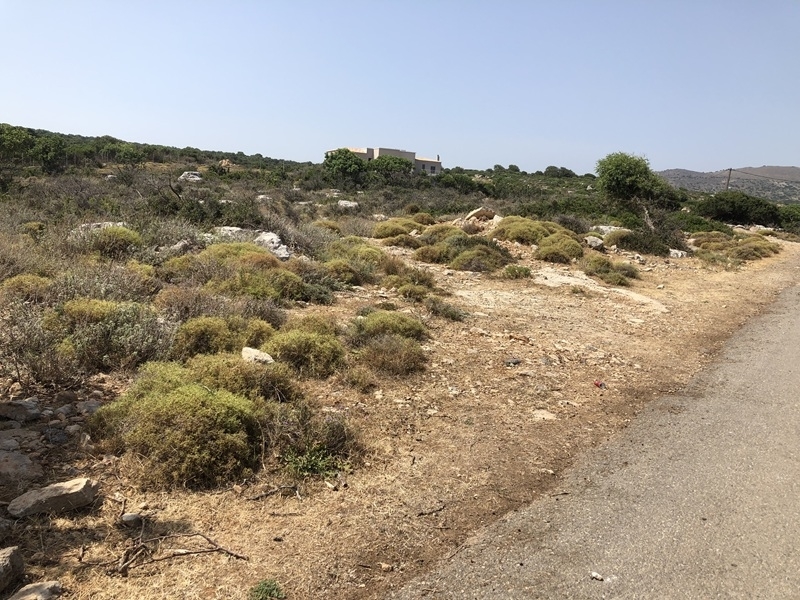 House in Nikiforos Fokas - Image 2