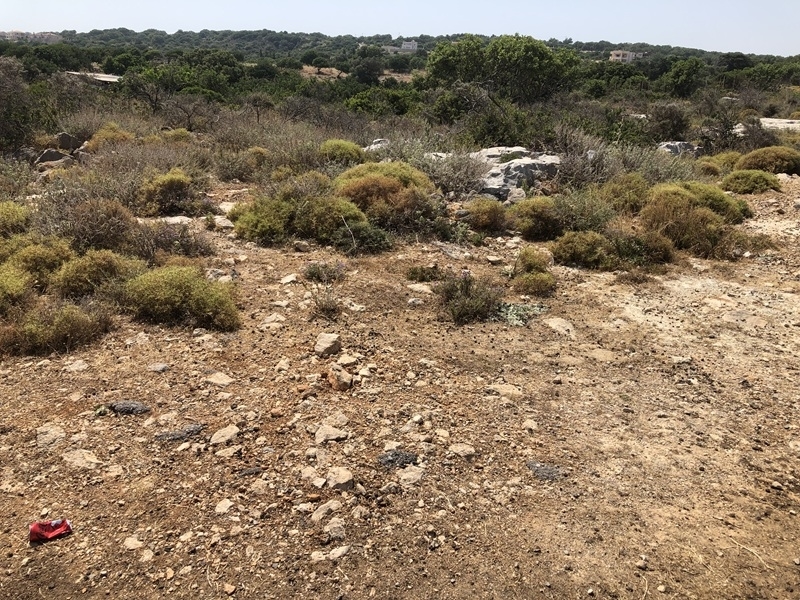 House in Nikiforos Fokas - Image 3