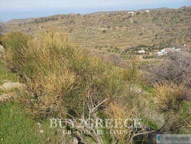 (For Sale) Land || Cyclades/Kea-Tzia - 8.922 Sq.m, 160.000€ ||| ID :1078328-5