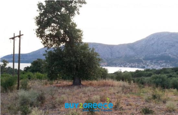 (For Sale) Land Plot || Aitoloakarnania/Astakos - 15.800 Sq.m, 150.000€ ||| ID :1081042-2