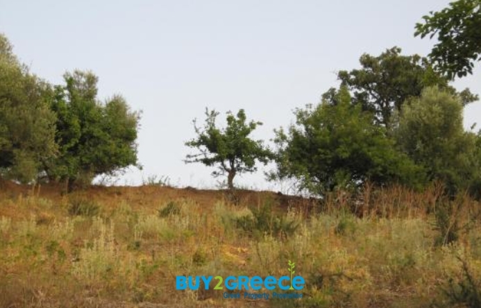 (For Sale) Land Plot || Aitoloakarnania/Astakos - 15.800 Sq.m, 150.000€ ||| ID :1081042-4