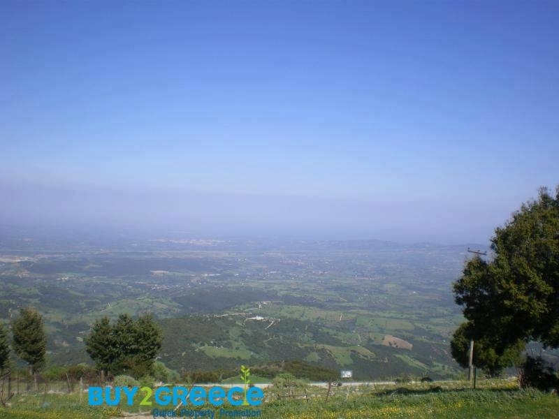 (For Sale) Land Agricultural Land  || Achaia/Fares - 37.000 Sq.m, 32.000€ ||| ID :1081567