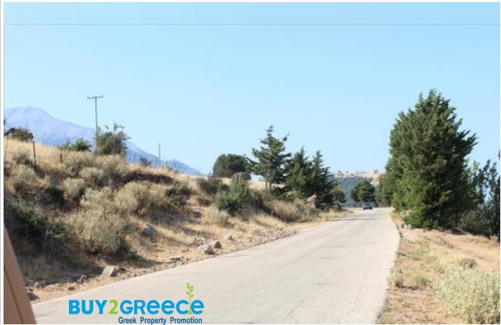 (For Sale) Land Agricultural Land  || Achaia/Fares - 37.000 Sq.m, 32.000€ ||| ID :1081567-2