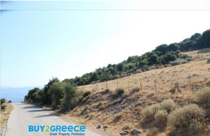 (For Sale) Land Agricultural Land  || Achaia/Fares - 37.000 Sq.m, 32.000€ ||| ID :1081567-3