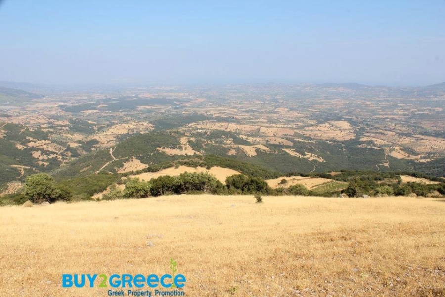 (For Sale) Land Agricultural Land  || Achaia/Fares - 37.000 Sq.m, 32.000€ ||| ID :1081567-4