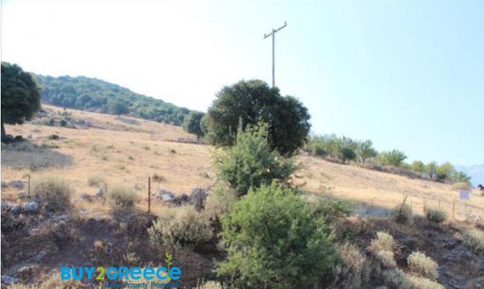 (For Sale) Land Agricultural Land  || Achaia/Fares - 37.000 Sq.m, 32.000€ ||| ID :1081567-5