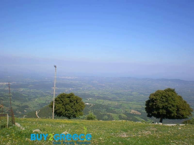 (For Sale) Land Agricultural Land  || Achaia/Fares - 37.000 Sq.m, 32.000€ ||| ID :1081567-6