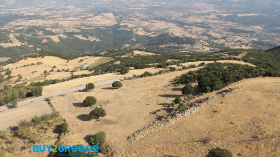 (For Sale) Land Agricultural Land  || Achaia/Fares - 37.000 Sq.m, 32.000€ ||| ID :1081567-7