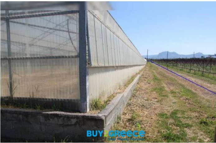 (For Sale) Land Plot || Korinthia/Velo - 8.700 Sq.m, 280.000€ ||| ID :1095861-3