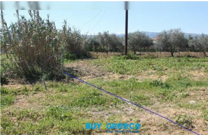 (For Sale) Land Plot || Korinthia/Velo - 8.700 Sq.m, 280.000€ ||| ID :1095861-4