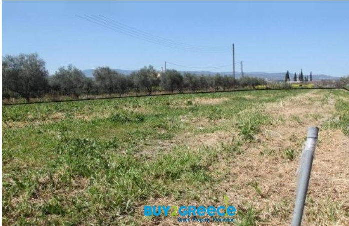 (For Sale) Land Plot || Korinthia/Velo - 8.700 Sq.m, 280.000€ ||| ID :1095861-5