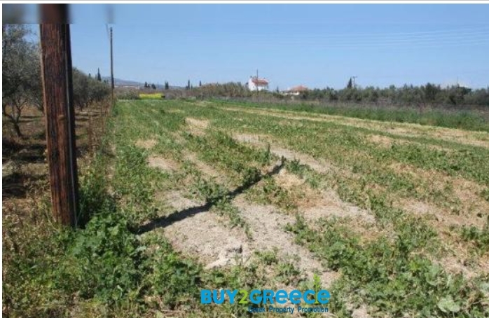 (For Sale) Land Plot || Korinthia/Velo - 8.700 Sq.m, 280.000€ ||| ID :1095861-6