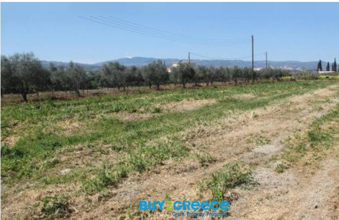 (For Sale) Land Plot || Korinthia/Velo - 8.700 Sq.m, 280.000€ ||| ID :1095861-7