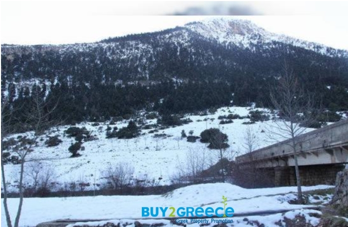 (For Sale) Residential Detached house || Korinthia/Sikyona - 216 Sq.m, 5 Bedrooms, 250.000€ ||| ID :1095862-6