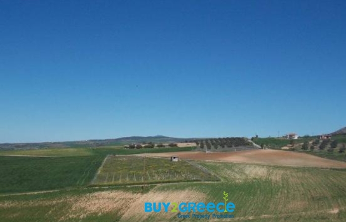 (For Sale) Land Agricultural Land  || Chalkidiki/Kallikrateia - 5.780 Sq.m, 28.000€ ||| ID :1095872-9