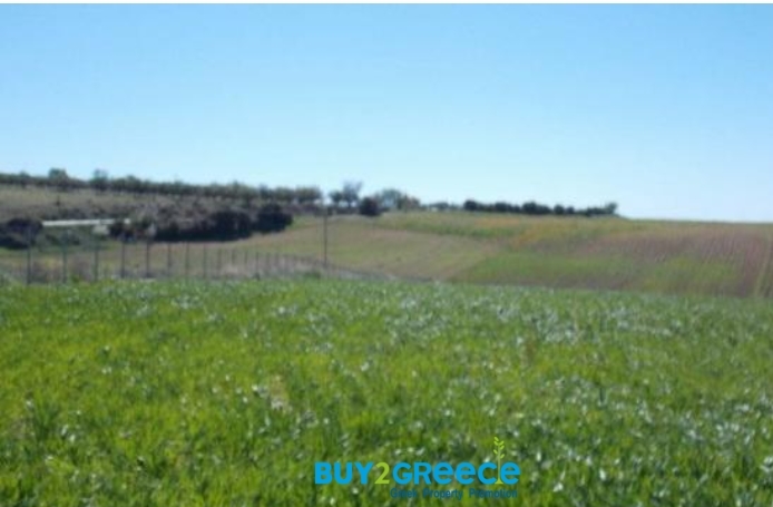 (For Sale) Land Agricultural Land  || Chalkidiki/Kallikrateia - 5.780 Sq.m, 28.000€ ||| ID :1095872-2