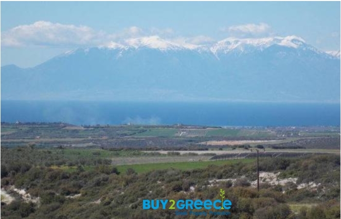 (For Sale) Land Agricultural Land  || Chalkidiki/Kallikrateia - 5.780 Sq.m, 28.000€ ||| ID :1095872-4