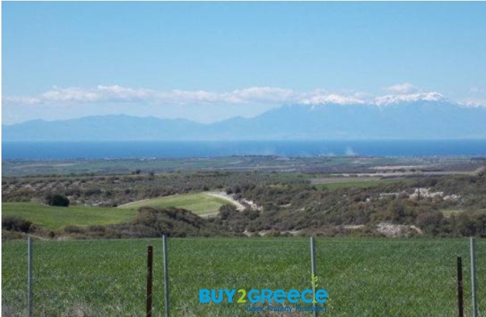 (For Sale) Land Agricultural Land  || Chalkidiki/Kallikrateia - 5.780 Sq.m, 28.000€ ||| ID :1095872-5