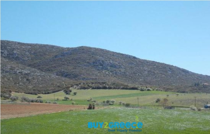 (For Sale) Land Agricultural Land  || Chalkidiki/Kallikrateia - 5.780 Sq.m, 28.000€ ||| ID :1095872-6