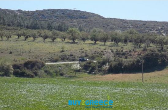 (For Sale) Land Agricultural Land  || Chalkidiki/Kallikrateia - 5.780 Sq.m, 28.000€ ||| ID :1095872-7