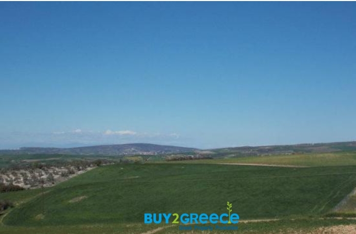 (For Sale) Land Agricultural Land  || Chalkidiki/Kallikrateia - 5.780 Sq.m, 28.000€ ||| ID :1095872-8