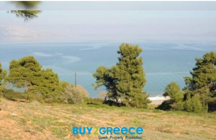 (For Sale) Land Plot || East Attica/Kalamos - 12.000 Sq.m, 1.200.000€ ||| ID :1096474-2