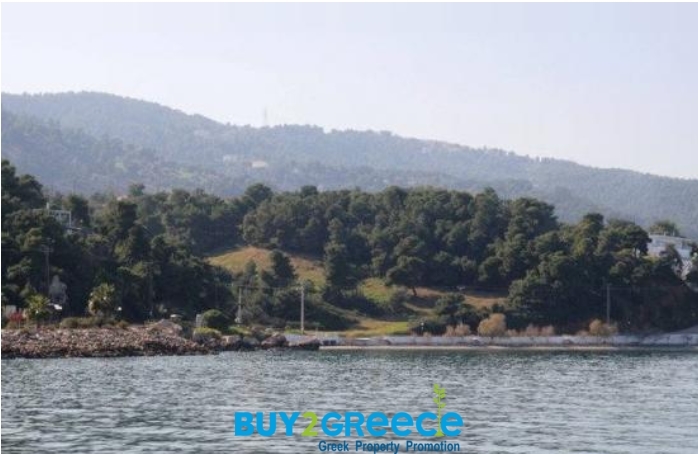 (For Sale) Land Plot || East Attica/Kalamos - 12.000 Sq.m, 1.200.000€ ||| ID :1096474-3