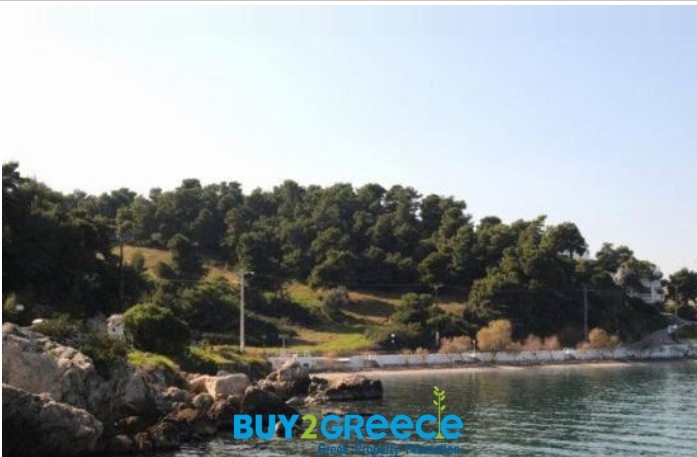 (For Sale) Land Plot || East Attica/Kalamos - 12.000 Sq.m, 1.200.000€ ||| ID :1096474-4