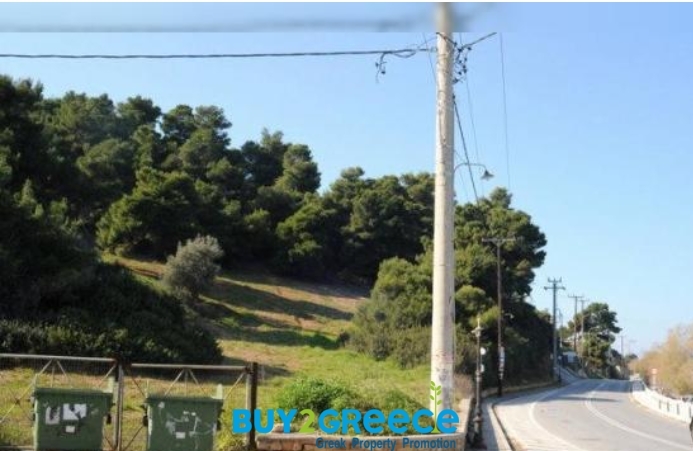 (For Sale) Land Plot || East Attica/Kalamos - 12.000 Sq.m, 1.200.000€ ||| ID :1096474-6