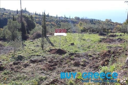 (For Sale) Land Plot || Messinia/Lefktro-Kardamyli - 2.585 Sq.m, 49.000€ ||| ID :1152178-13