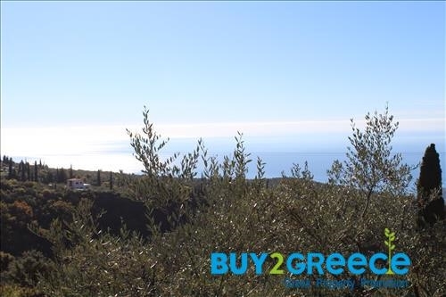 (For Sale) Land Plot || Messinia/Lefktro-Kardamyli - 2.585 Sq.m, 49.000€ ||| ID :1152178-20