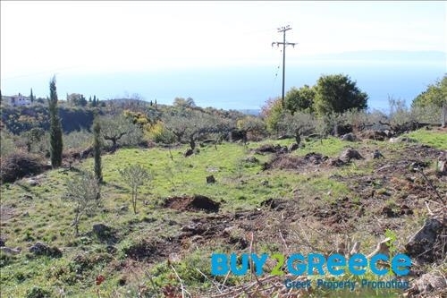 (For Sale) Land Plot || Messinia/Lefktro-Kardamyli - 2.585 Sq.m, 49.000€ ||| ID :1152178-4