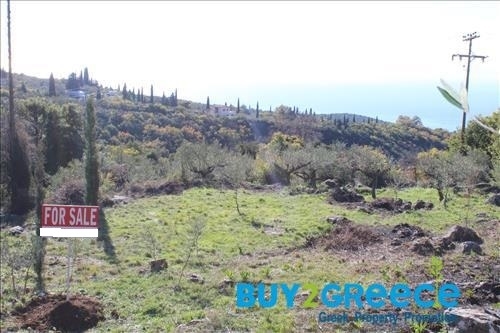 (For Sale) Land Plot || Messinia/Lefktro-Kardamyli - 2.585 Sq.m, 49.000€ ||| ID :1152178-8