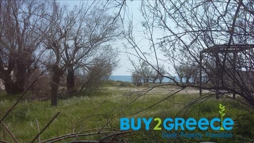 (For Sale) Land Plot out of City plans || Dodekanisa/Rhodes-Archaggelos - 737 Sq.m, 77.000€ ||| ID :1152283-3