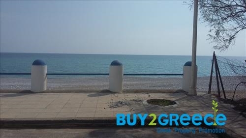 (For Sale) Land Plot out of City plans || Dodekanisa/Rhodes-Archaggelos - 737 Sq.m, 77.000€ ||| ID :1152283-8