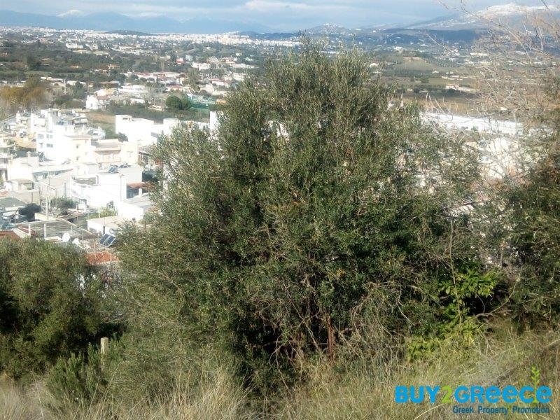 (For Sale) Land Plot || East Attica/Spata - 360 Sq.m, 70.000€ ||| ID :1184201-6