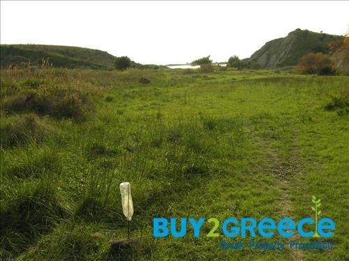 (For Sale) Land Plot || Kefalonia/Paliki - 17.000 Sq.m, 430.000€ ||| ID :1241540-6