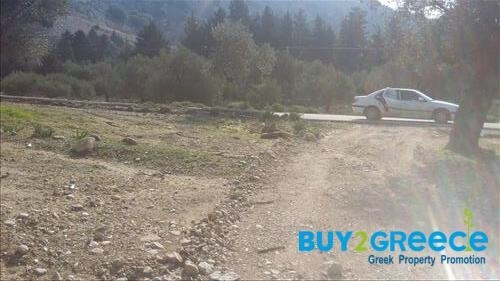 (For Sale) Land Agricultural Land  || Dodekanisa/Rhodes-Archaggelos - 1.728 Sq.m, 33.000€ ||| ID :1255970-2