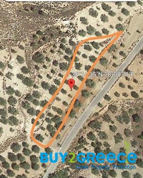 (For Sale) Land Agricultural Land  || Dodekanisa/Rhodes-Archaggelos - 1.728 Sq.m, 33.000€ ||| ID :1255970-3