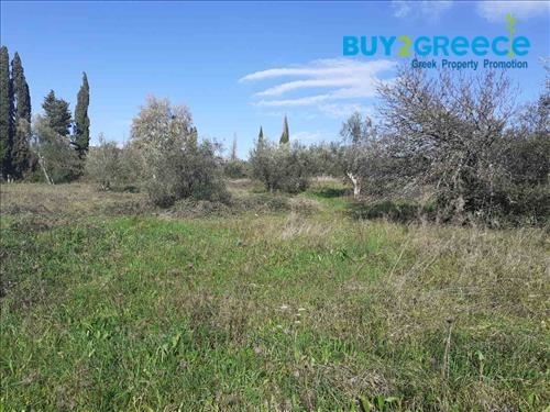 (For Sale) Land Plot || Corfu (Kerkira)/Faiakes - 5.587 Sq.m, 230.000€ ||| ID :1266575