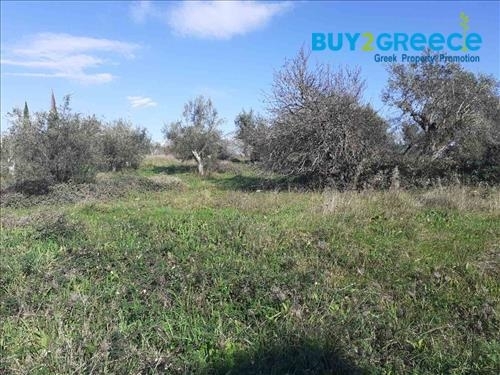 (For Sale) Land Plot || Corfu (Kerkira)/Faiakes - 5.587 Sq.m, 230.000€ ||| ID :1266575-2