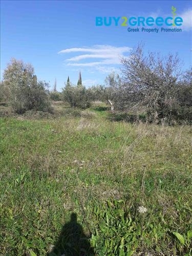 (For Sale) Land Plot || Corfu (Kerkira)/Faiakes - 5.587 Sq.m, 230.000€ ||| ID :1266575-3