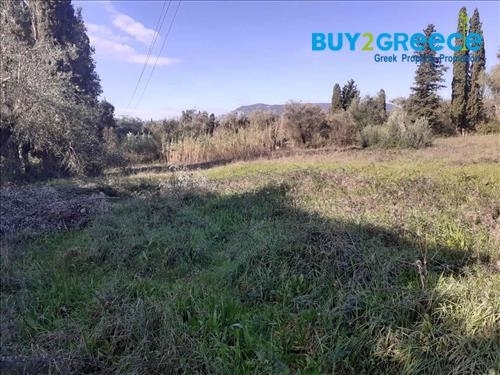 (For Sale) Land Plot || Corfu (Kerkira)/Faiakes - 5.587 Sq.m, 230.000€ ||| ID :1266575-4