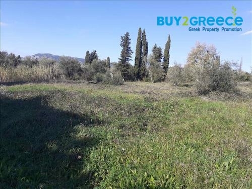 (For Sale) Land Plot || Corfu (Kerkira)/Faiakes - 5.587 Sq.m, 230.000€ ||| ID :1266575-5