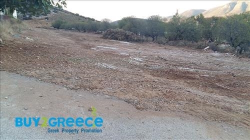 (For Sale) Land Agricultural Land  || East Attica/Keratea - 5.000 Sq.m, 135.000€ ||| ID :1276793-3