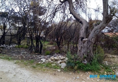 (For Sale) Land Plot wIthin Settlement || East Attica/Rafina - 319 Sq.m, 130.000€ ||| ID :1277051-3