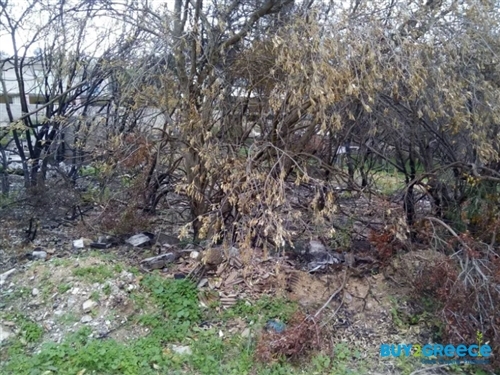 (For Sale) Land Plot wIthin Settlement || East Attica/Rafina - 319 Sq.m, 130.000€ ||| ID :1277051-4