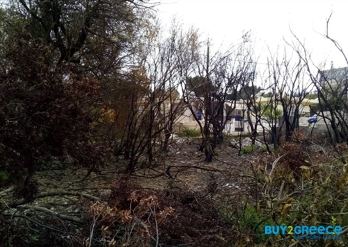 (For Sale) Land Plot wIthin Settlement || East Attica/Rafina - 319 Sq.m, 130.000€ ||| ID :1277051-5