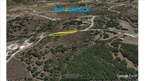 (For Sale) Land Plot || Rethymno/Foinikas - 920 Sq.m, 50.000€ ||| ID :1293678-5